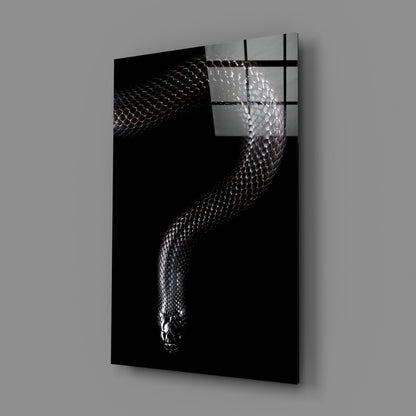 Silver Scaled Snake Descending Dark Glass Wall Art