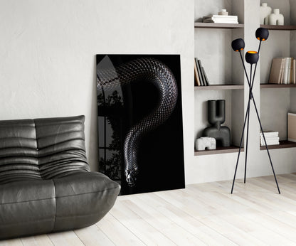 Silver Scaled Snake Descending Dark Glass Wall Art