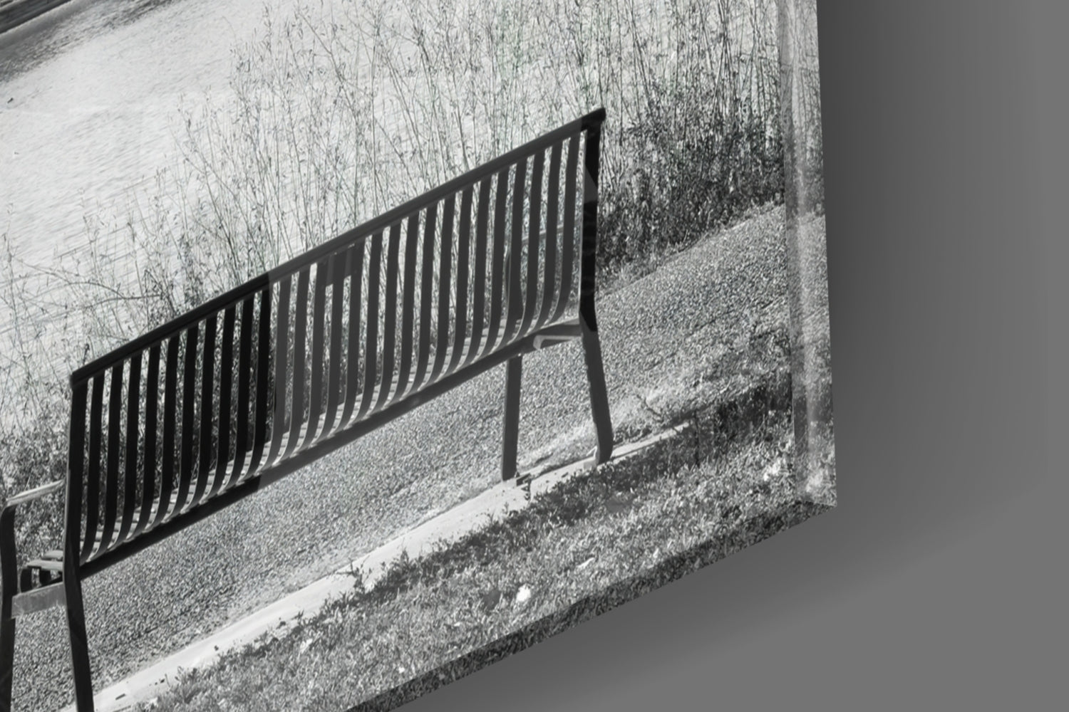Black metal bench casting striped shadow on textured concrete surface beside overgrown vegetation.