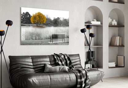 Glass wall art featuring a black and white lakeside scene with a single golden yellow tree and bench.