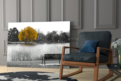 Glass wall art displaying a selective-color landscape with a golden yellow tree beside a lake, mounted in a modern living room setting.