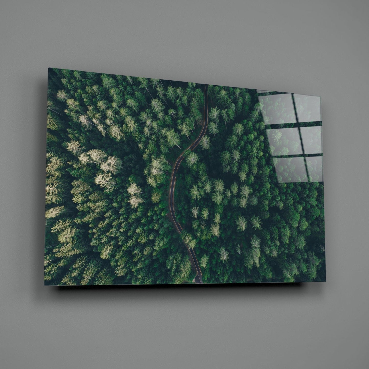 Aerial Woodland Curved Road Glass Wall Art
