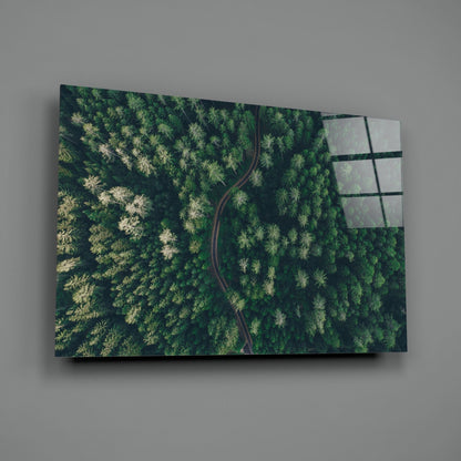 Aerial Woodland Curved Road Glass Wall Art