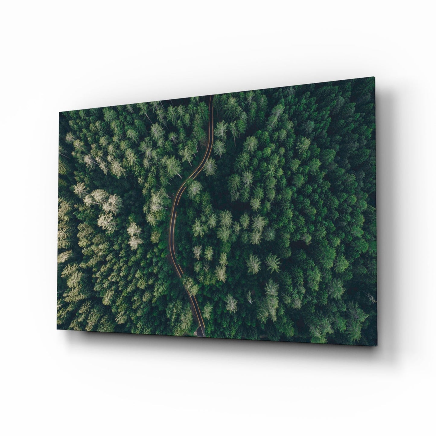 Aerial Woodland Curved Road Glass Wall Art