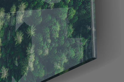 Aerial Woodland Curved Road Glass Wall Art