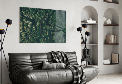 Aerial Woodland Curved Road Glass Wall Art