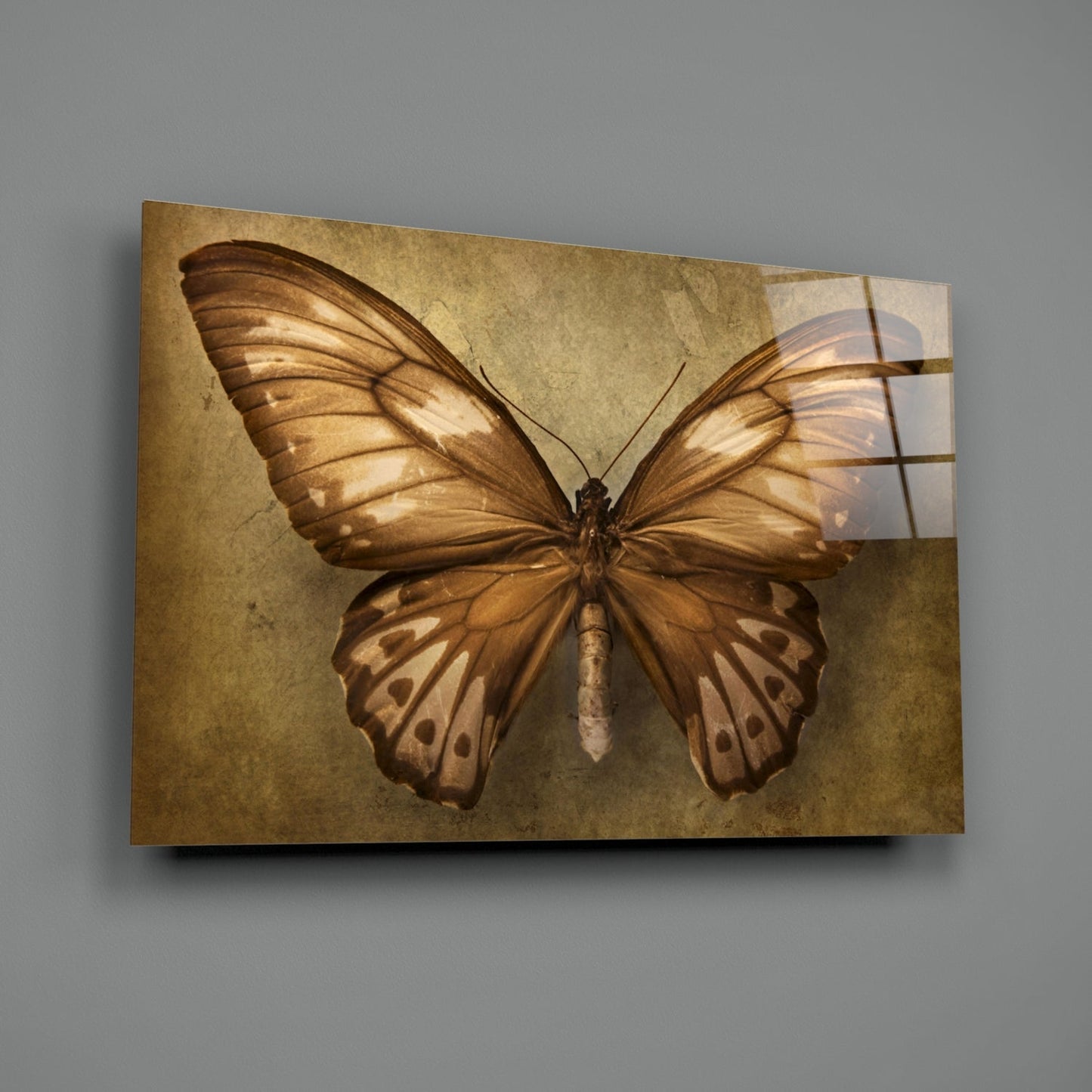 Vintage Sepia Butterfly Glass Wall Art