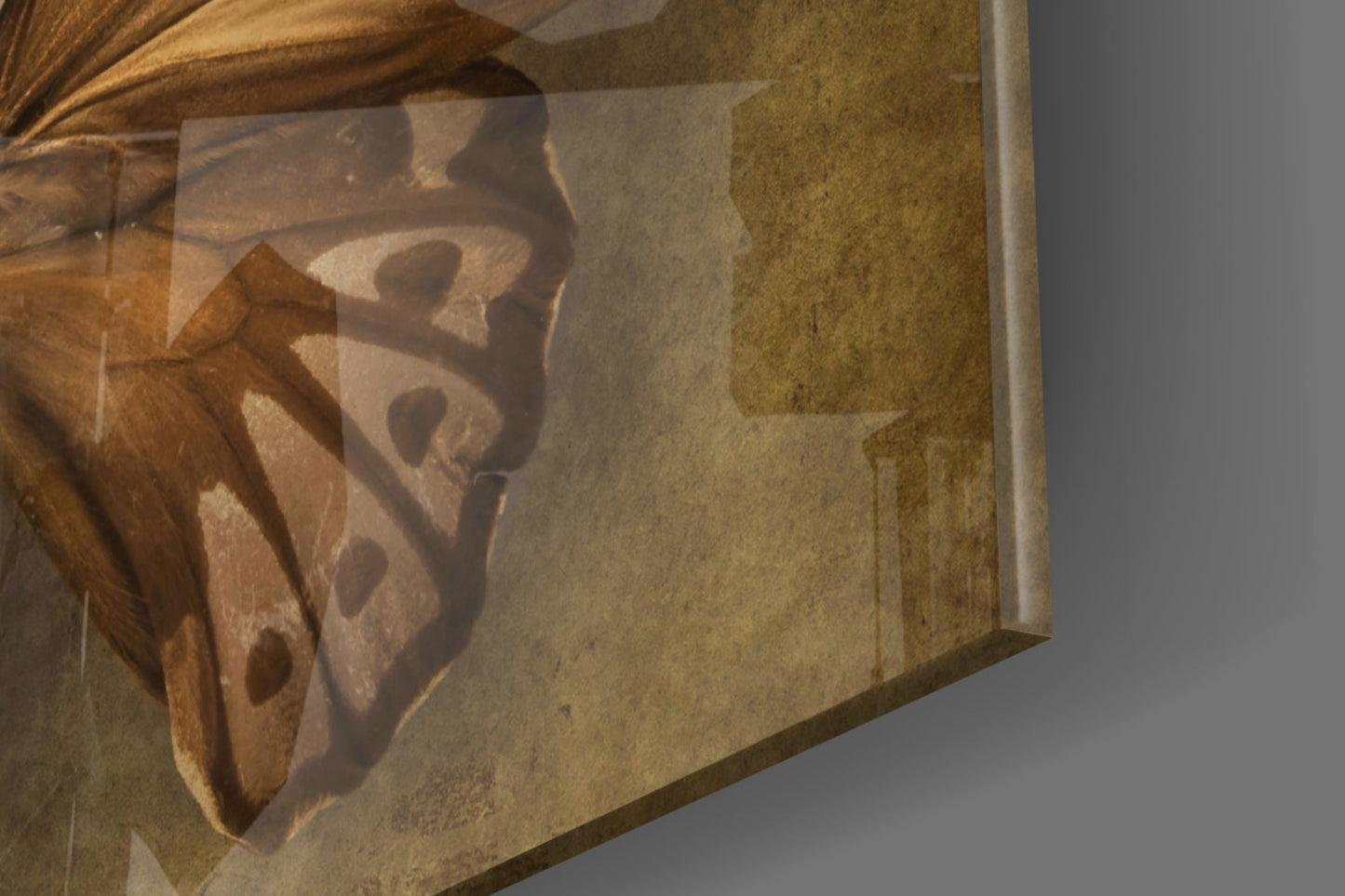 Vintage Sepia Butterfly Glass Wall Art