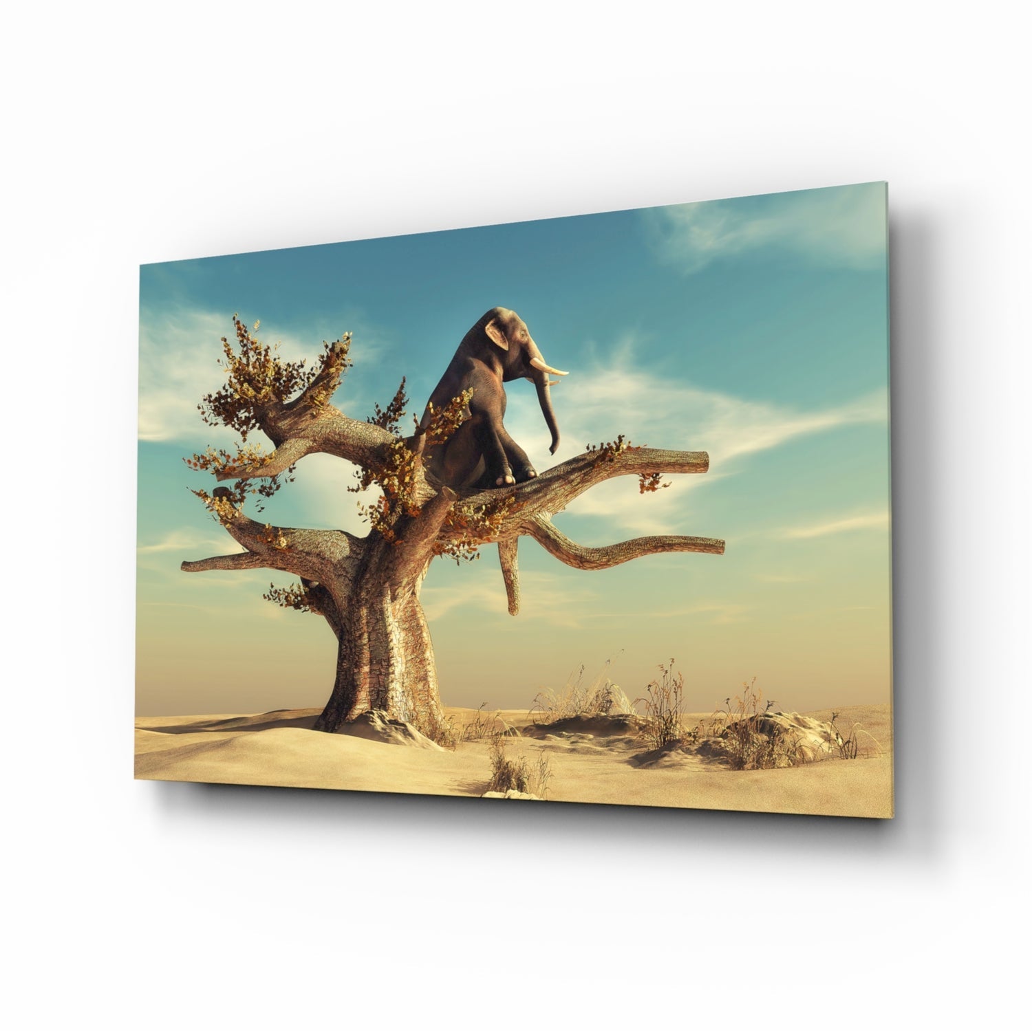 An elephant perches on a gnarled tree branch in a desert landscape, displayed as a glass wall art panel with warm beige and blue tones.