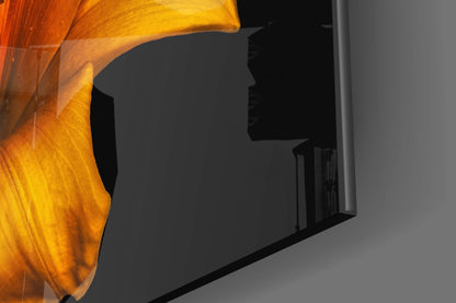 Golden Orange Lily On Black Glass Wall Art