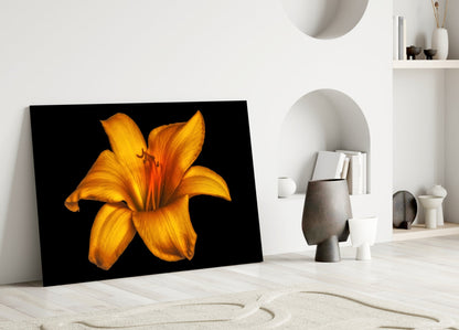 Golden Orange Lily On Black Glass Wall Art