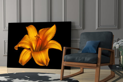 Golden Orange Lily On Black Glass Wall Art