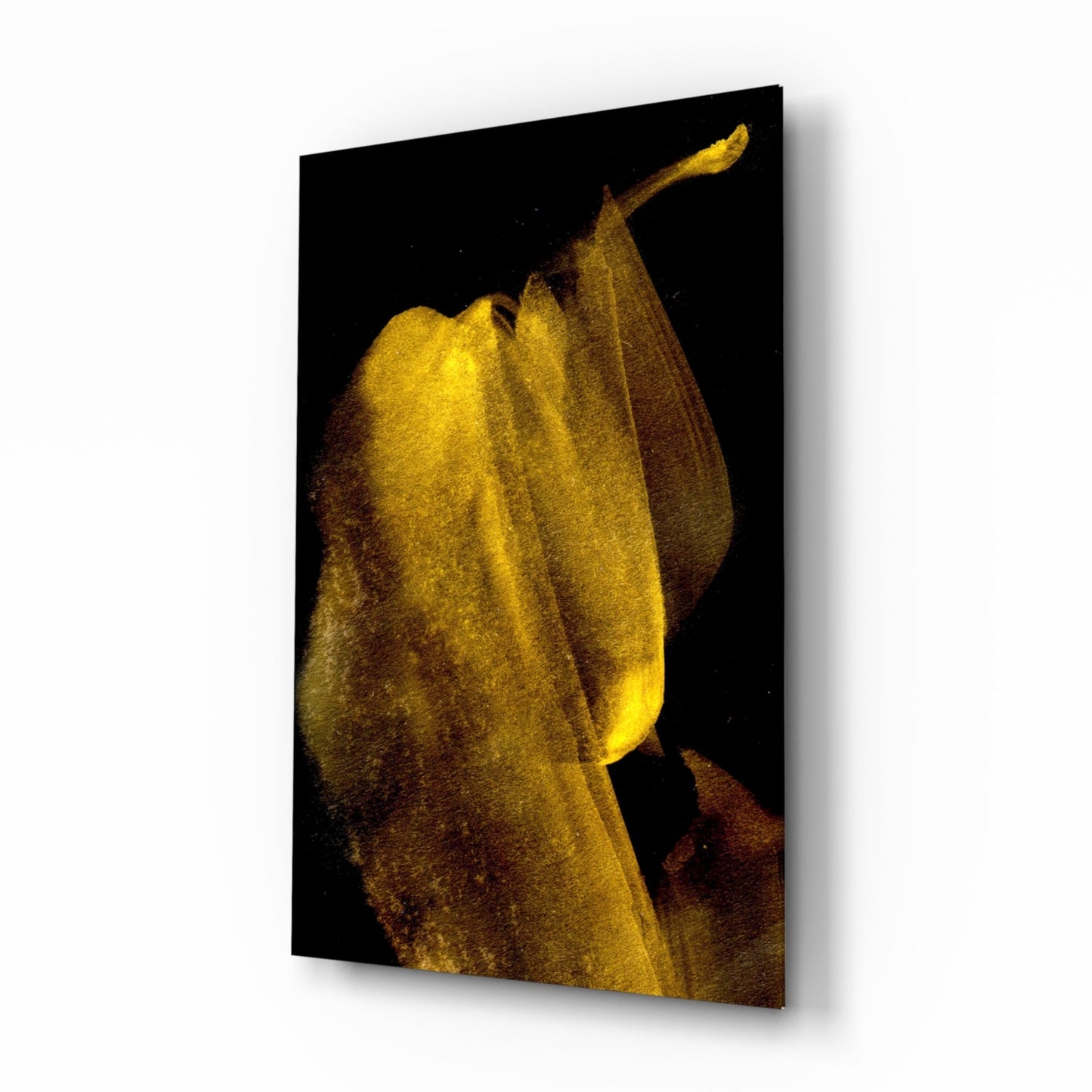 Glowing Golden Petal Macro On Black Glass Wall Art