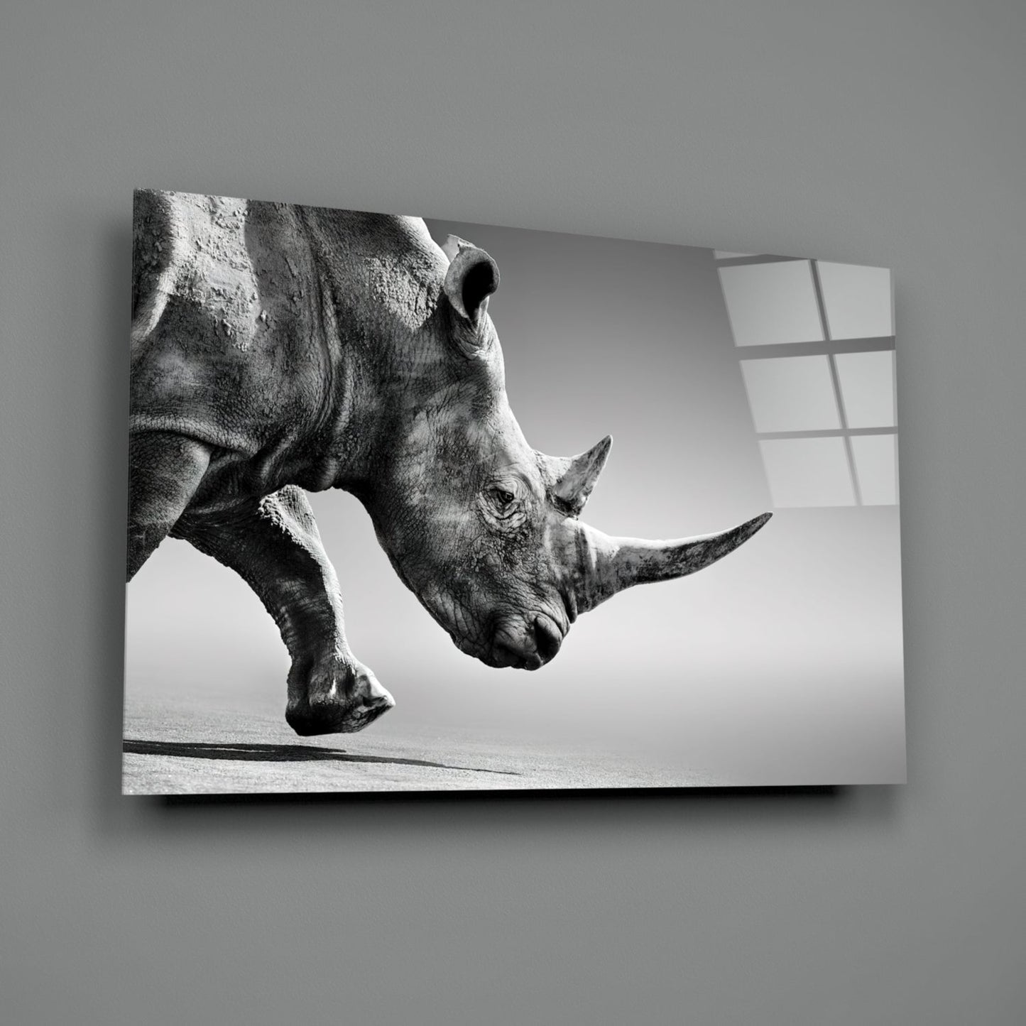 Black and white photograph of a rhinoceros in profile mounted on glass wall art against gray wall with window.