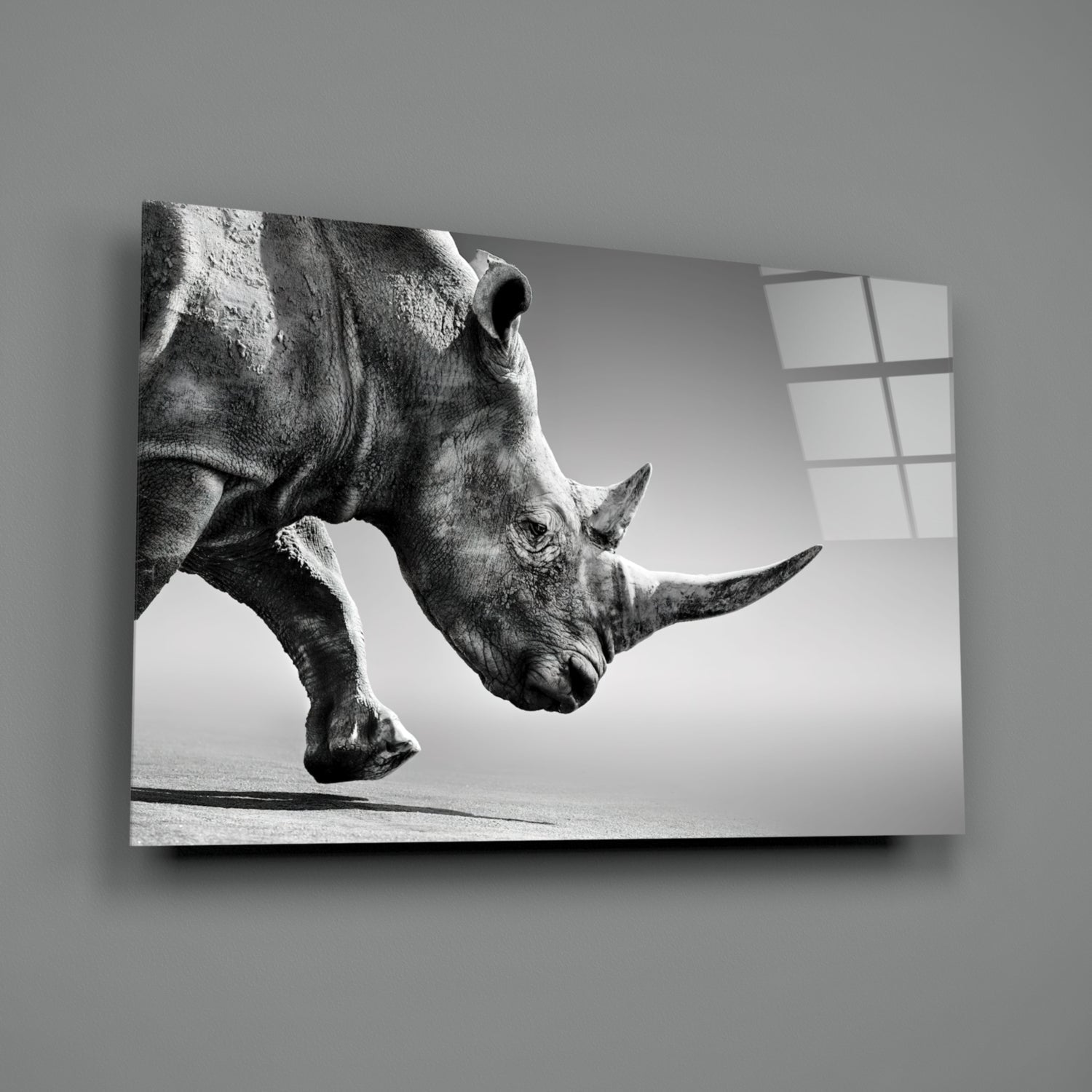 Black and white photograph of a rhinoceros in profile mounted on glass wall art against gray wall with window.