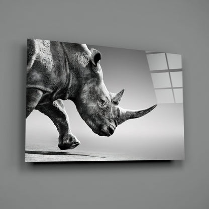 Black and white photograph of a rhinoceros in profile mounted on glass wall art against gray wall with window.