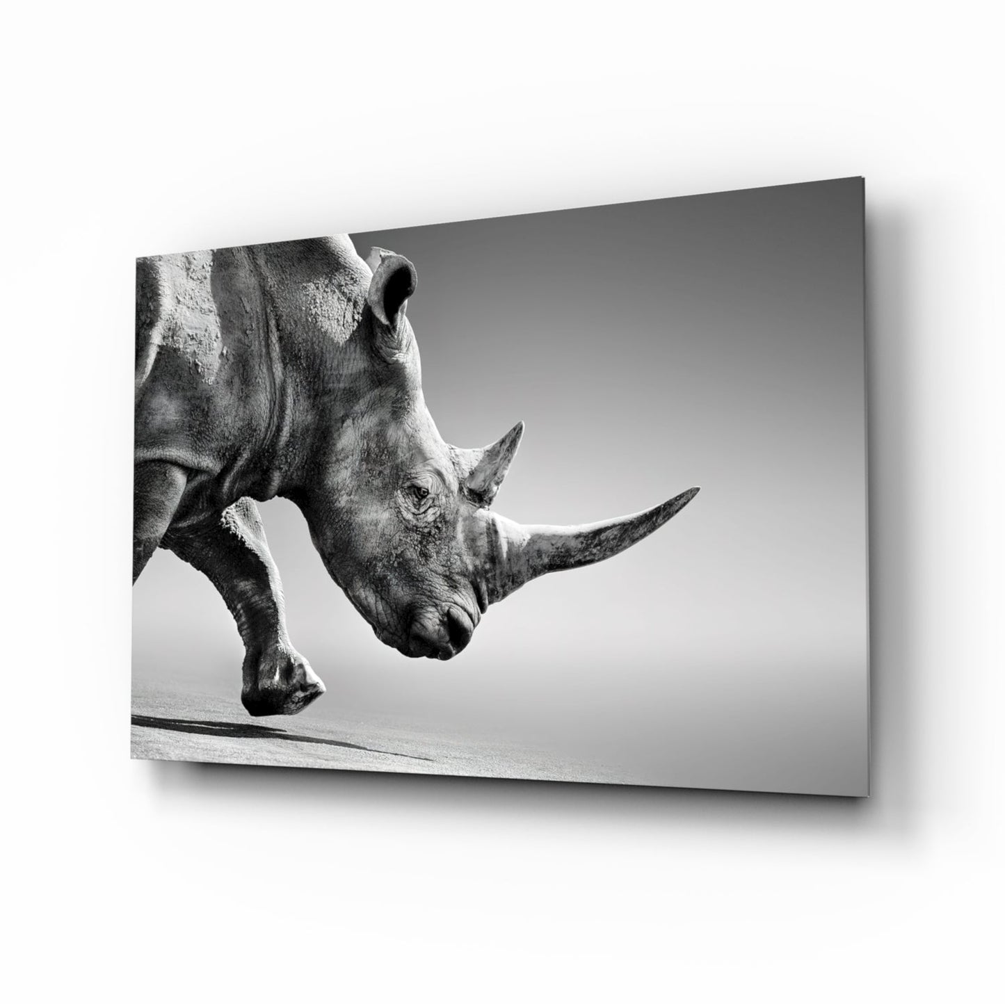 Black and white photograph of a rhinoceros in profile on glass wall art, showing detailed texture and side view against neutral background.