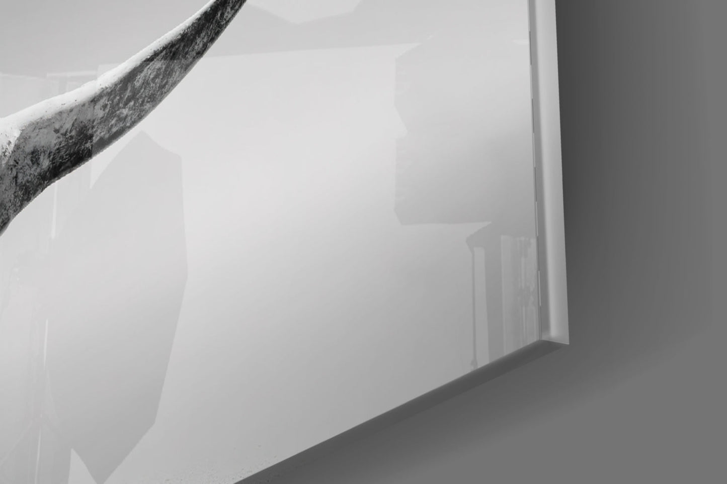 Close-up detail of textured branch touching frosted white glass panel surface against neutral background.