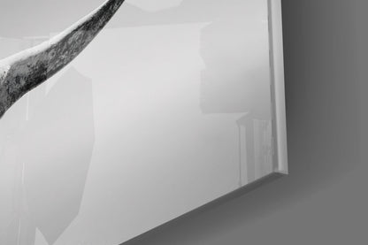 Close-up detail of textured branch touching frosted white glass panel surface against neutral background.