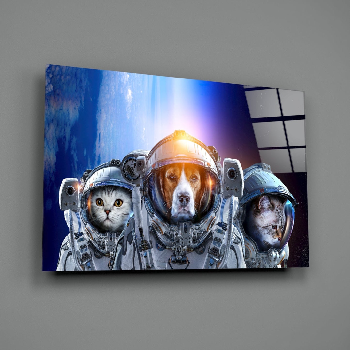 Glass wall art panel displaying three animals in astronaut suits against a blue space background, mounted at an angle on gray wall.