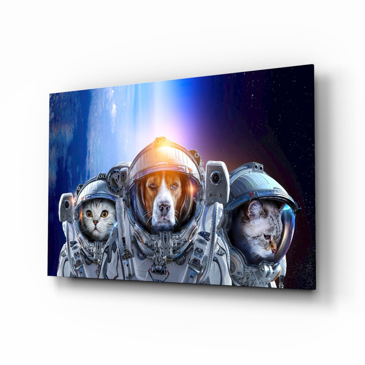 Three astronauts—cat, dog, and monkey—in spacesuits against starry blue backdrop on angled glass panel.