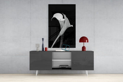 Monochrome Calla Lily Glass Wall Art