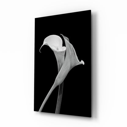 Monochrome Calla Lily Glass Wall Art