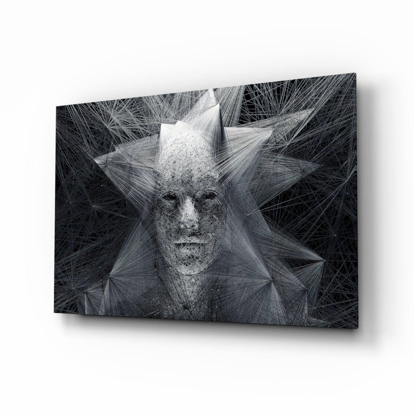 Gray Wire Mesh Crowned Face Glass Wall Art
