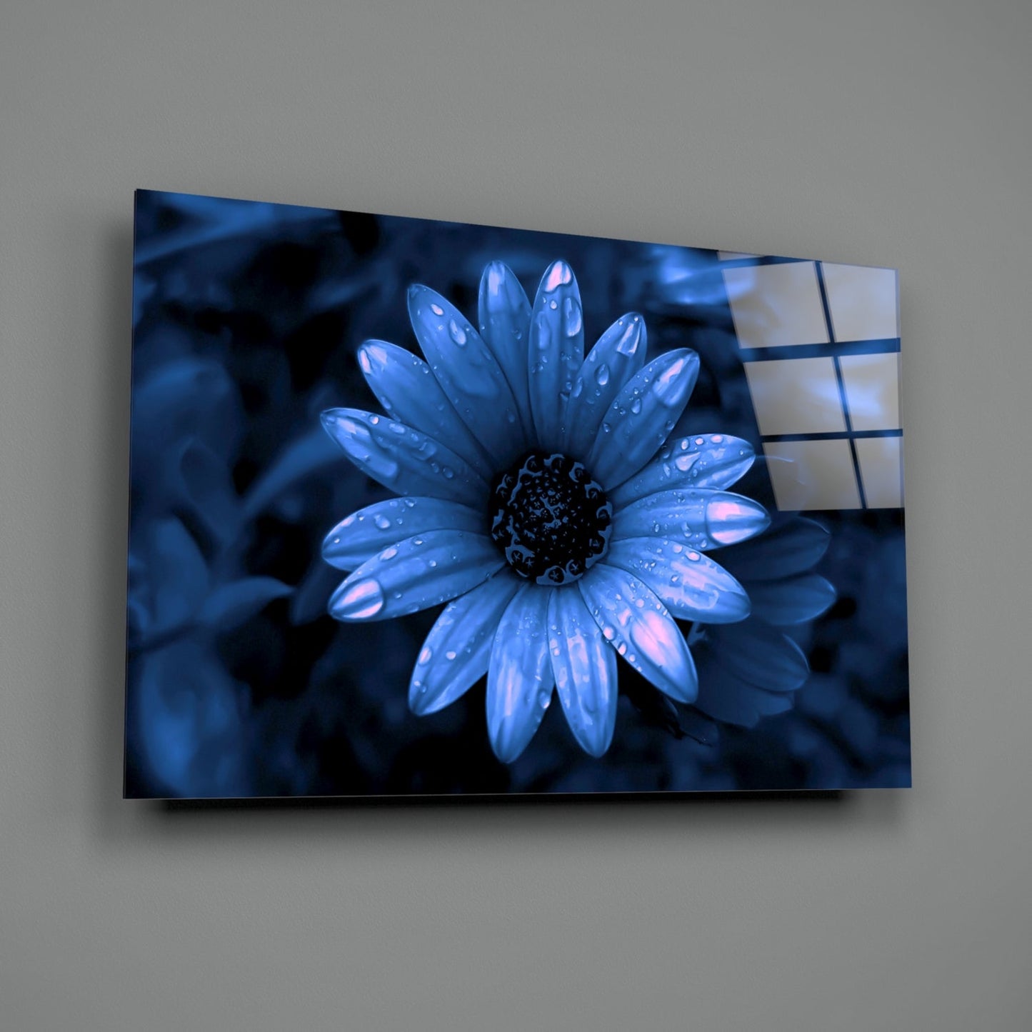 Blue Dewy Daisy Bloom Glass Wall Art