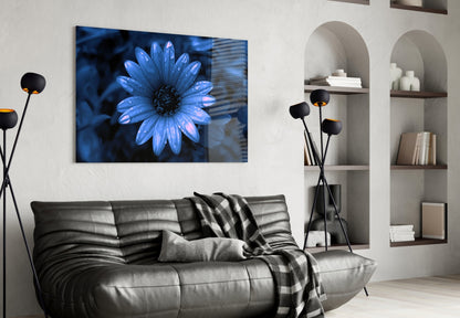 Blue Dewy Daisy Bloom Glass Wall Art
