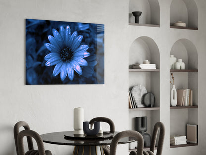 Blue Dewy Daisy Bloom Glass Wall Art