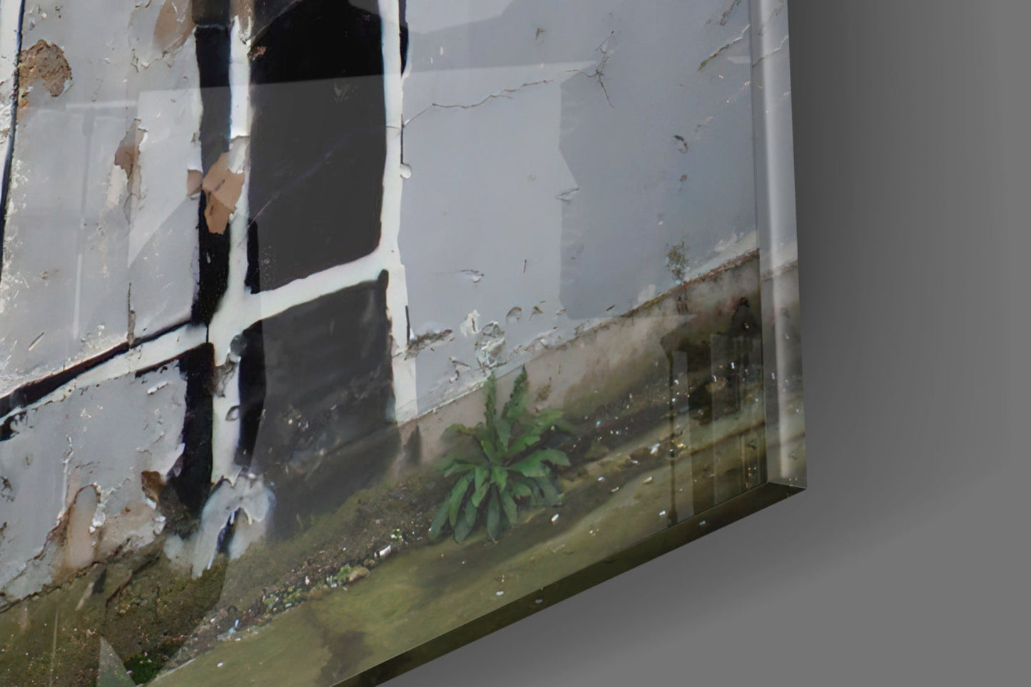Weathered white-framed glass panel with peeling paint and moss growth, showing deterioration and age.