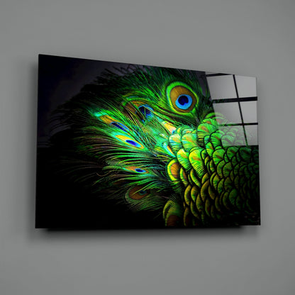 Emerald Peacock Plumage Closeup Glass Wall Art