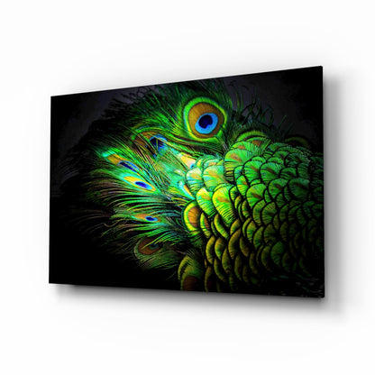 Emerald Peacock Plumage Closeup Glass Wall Art
