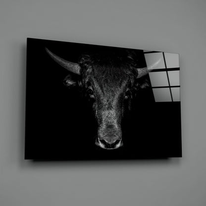 Black and white photograph of a bull's head with long horns displayed on translucent glass panel mounted on gray wall.