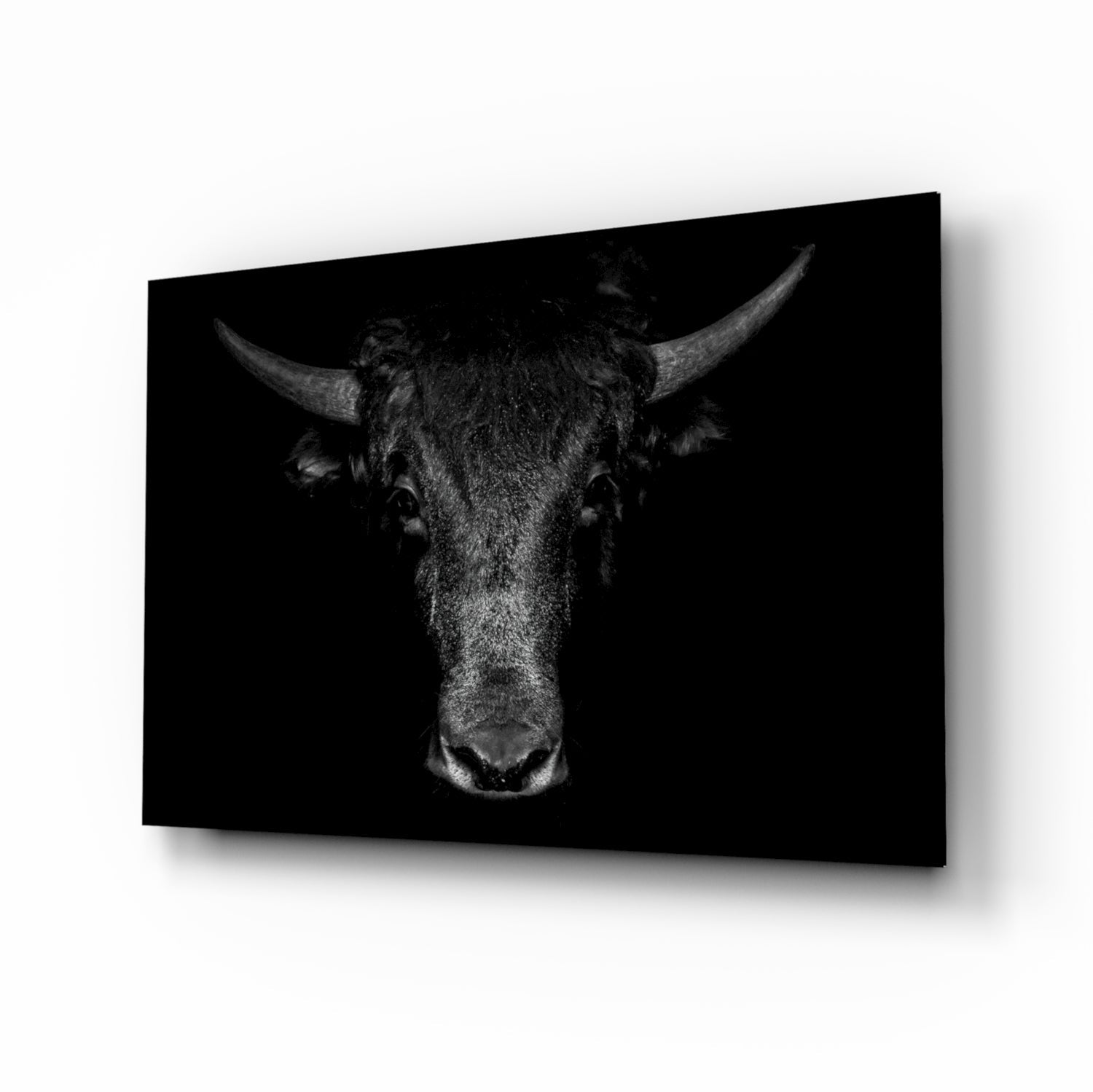 Black and white portrait of a horned bull's head facing forward against dark background on glass panel.
