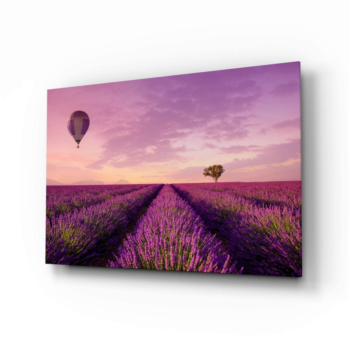 Glass art canvas angled view showing lavender field rows with hot air balloon and solitary tree at sunset.