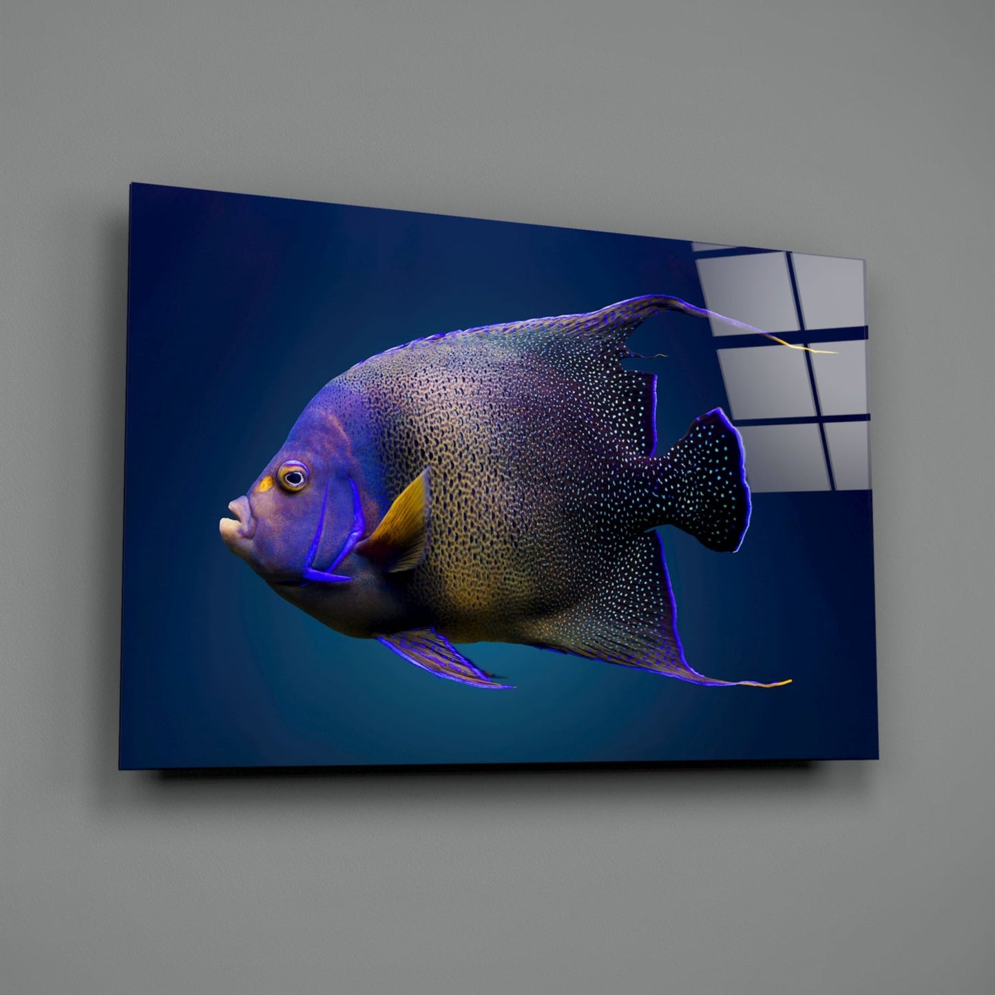 Mounted glass art panel displaying a colorful queen angelfish with purple and gold tones against deep blue background.