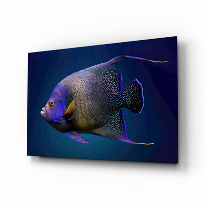 Queen Angelfish glass art panel displayed at angle against white background, showing detailed fish with purple and gold coloring on deep blue gradient background.