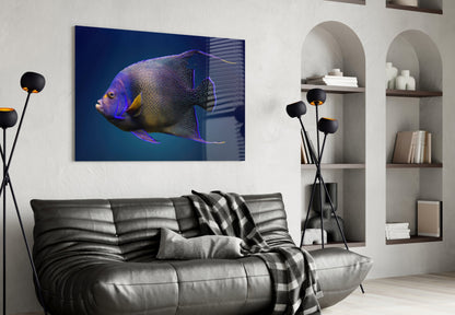 Queen Angelfish glass art in vibrant purple and blue tones displayed above a gray sofa in a modern living room interior.