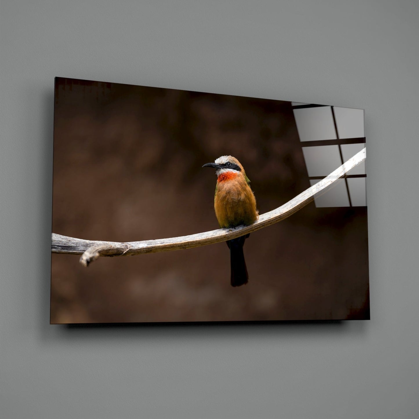 Colorful bee-eater bird perched on white branch against brown blurred background on glass art panel.