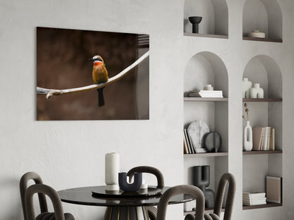 Colorful bee eater bird perched on branch against brown background, displayed as framed glass art above dining table.