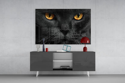 Golden Eyed Black Cat Glass Wall Art
