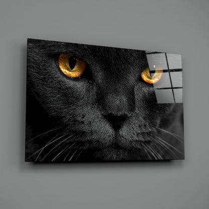 Golden Eyed Black Cat Glass Wall Art
