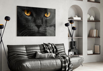Golden Eyed Black Cat Glass Wall Art