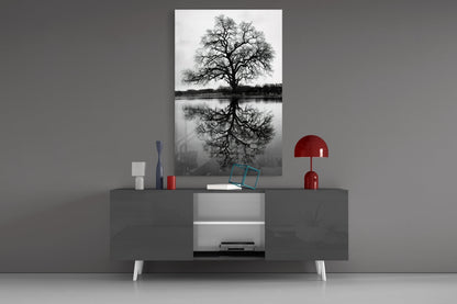 Bare Tree Lake Reflection Black White Glass Wall Art