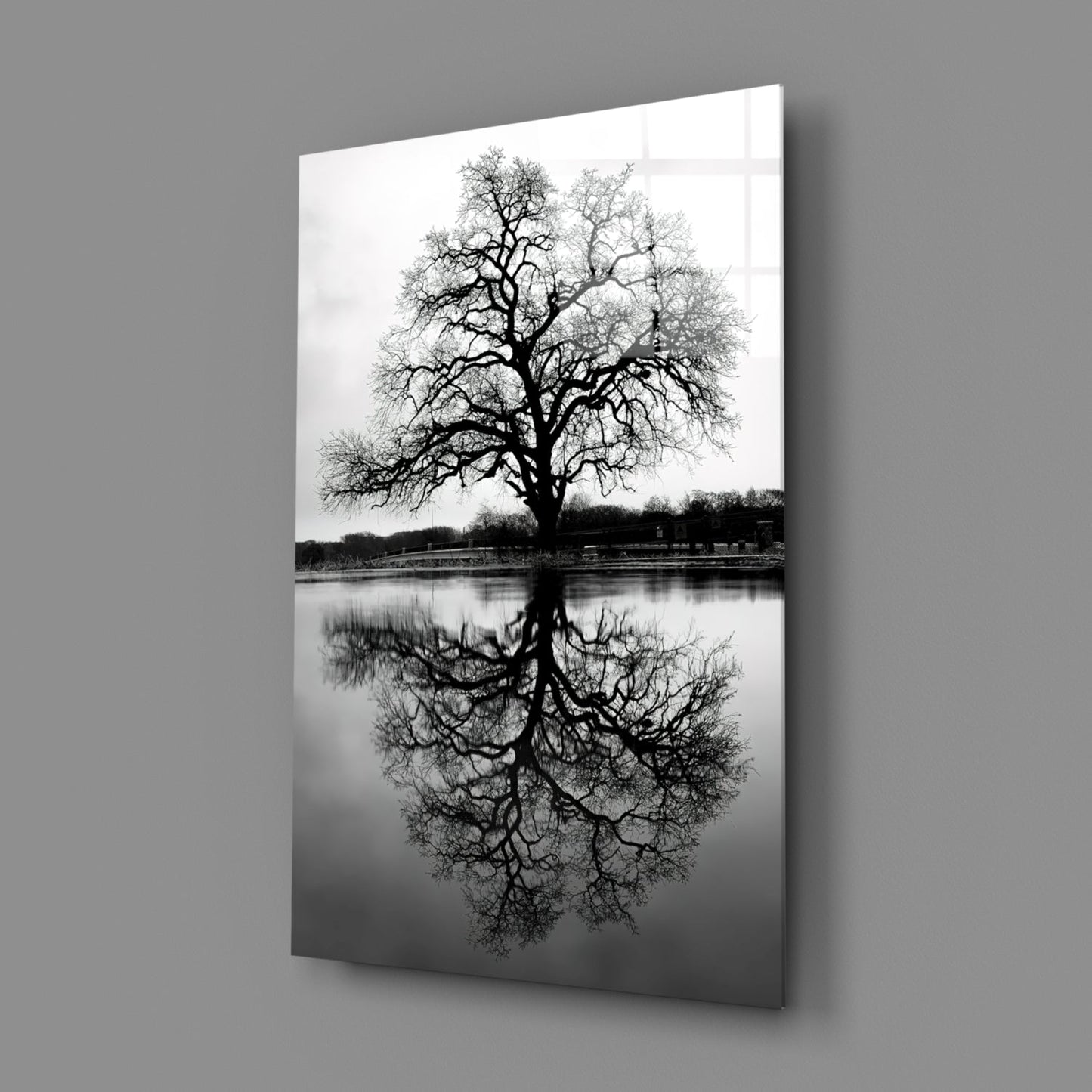 Bare Tree Lake Reflection Black White Glass Wall Art