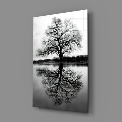 Bare Tree Lake Reflection Black White Glass Wall Art