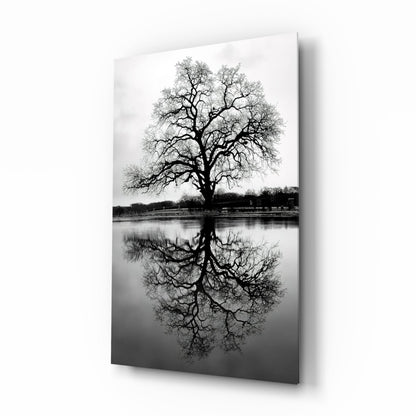 Bare Tree Lake Reflection Black White Glass Wall Art