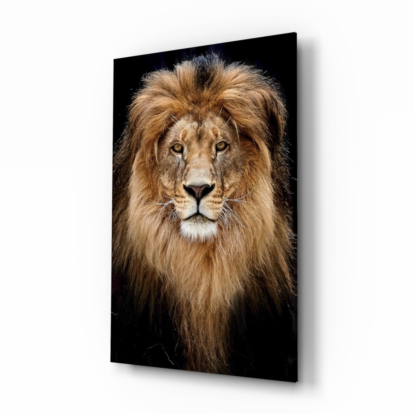 Majestic Windswept Mane Lion Glass Wall Art